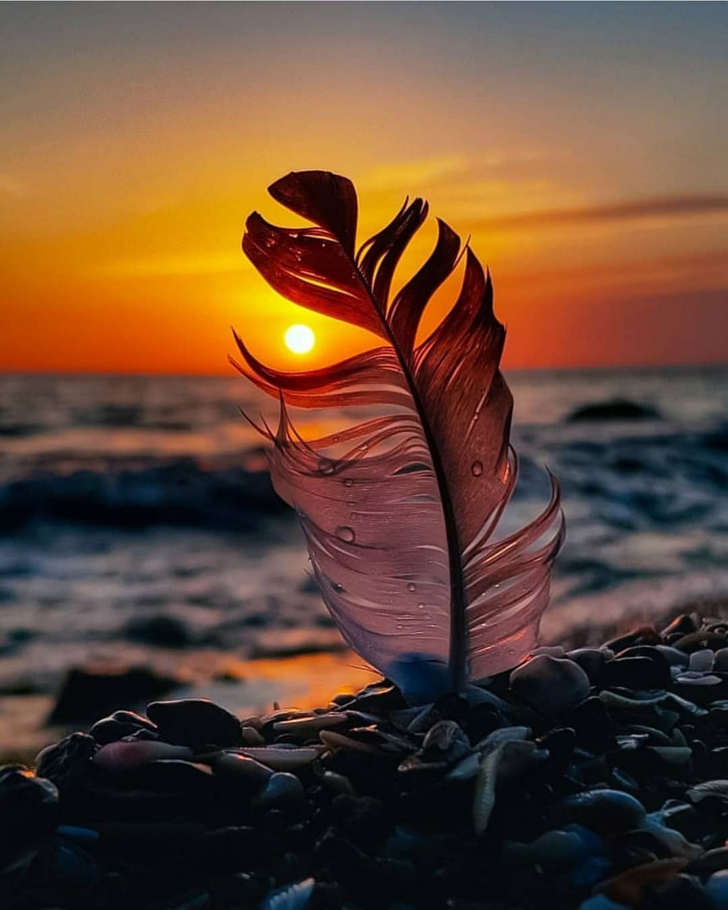 Kraftvolle Mums | Indianisches Familienstellen