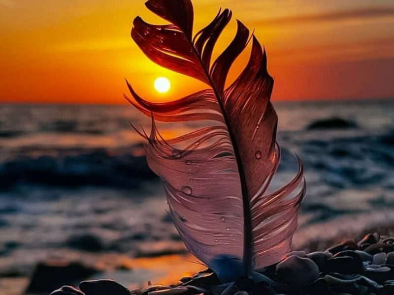 evening-5114492_1280